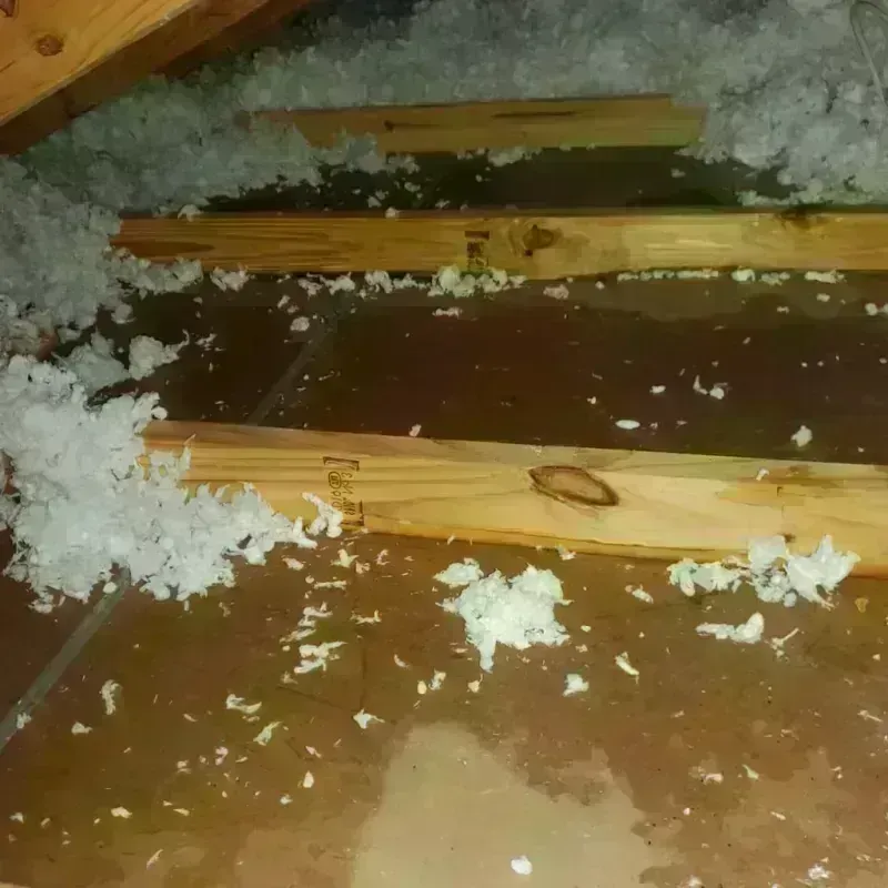 Attic Water Damage in Earlston, PA